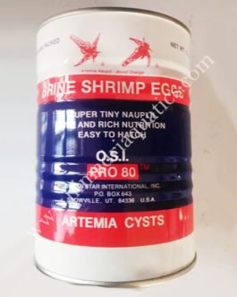 OSI Artemia Egg-Red Ring(USA)-Live Brine Shrimp Eggs- 50 gram
