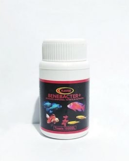 Benebacter+ 50 Gms ( Removes Ammonia, Nitrate and Nitrites )