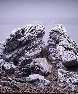 Iwagumi seiryu rock (500 grams)