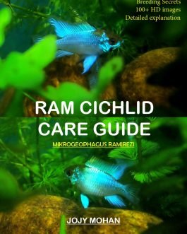 Ram cichild care guide